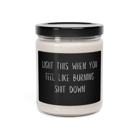 Light this When You Feel Like Burning Shit Down Soy Candle, 9oz